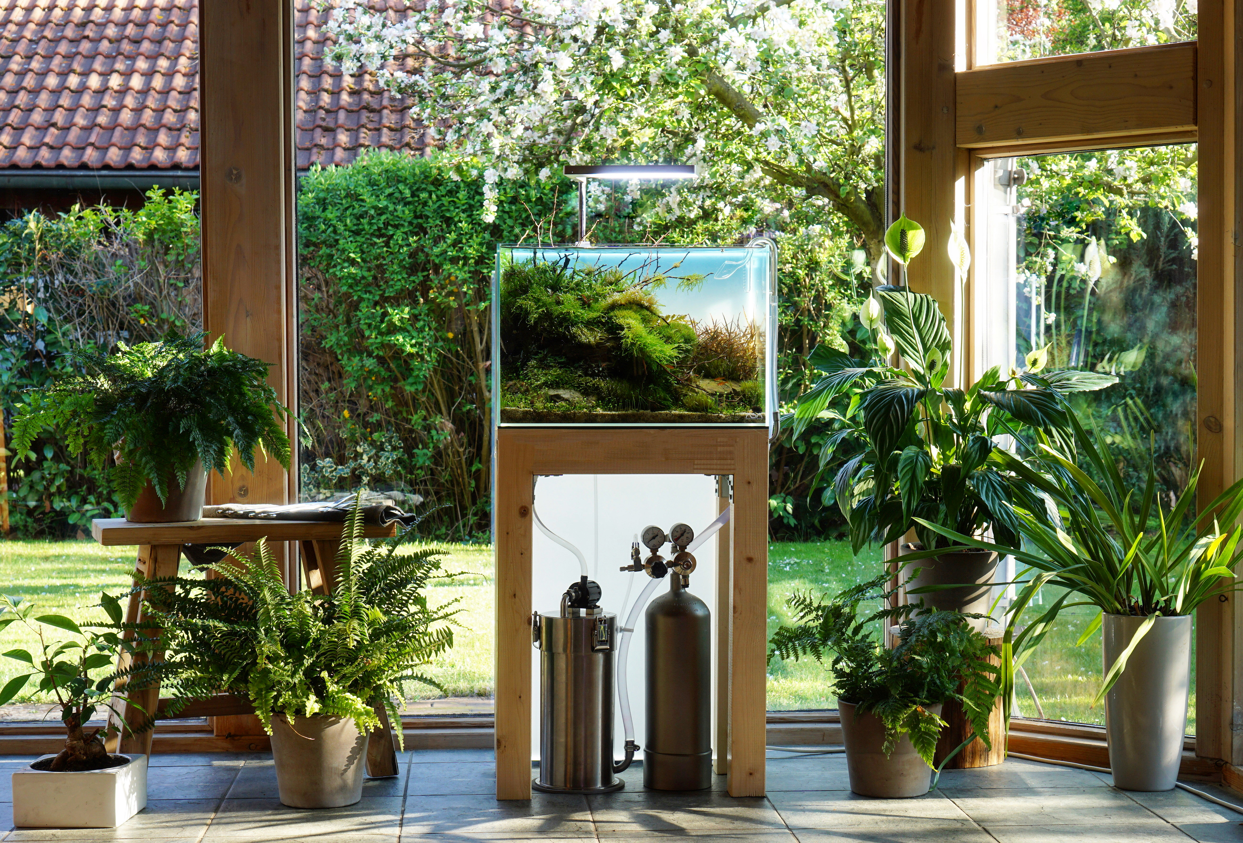 Paludarium-Insel mit Moos und Farnelementen