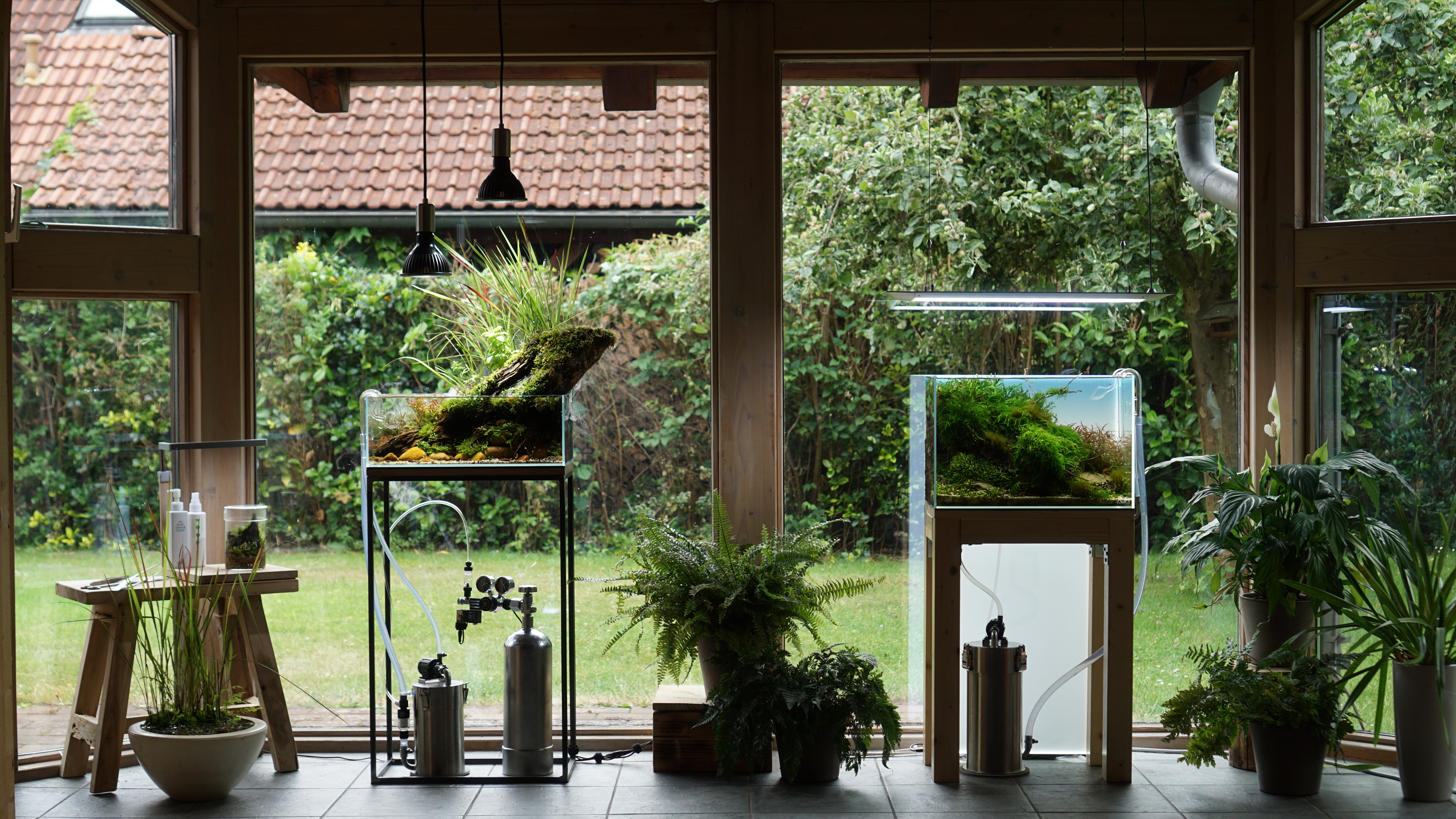 Paludarium-Insel mit Moos und Luftfeuchtigkeit