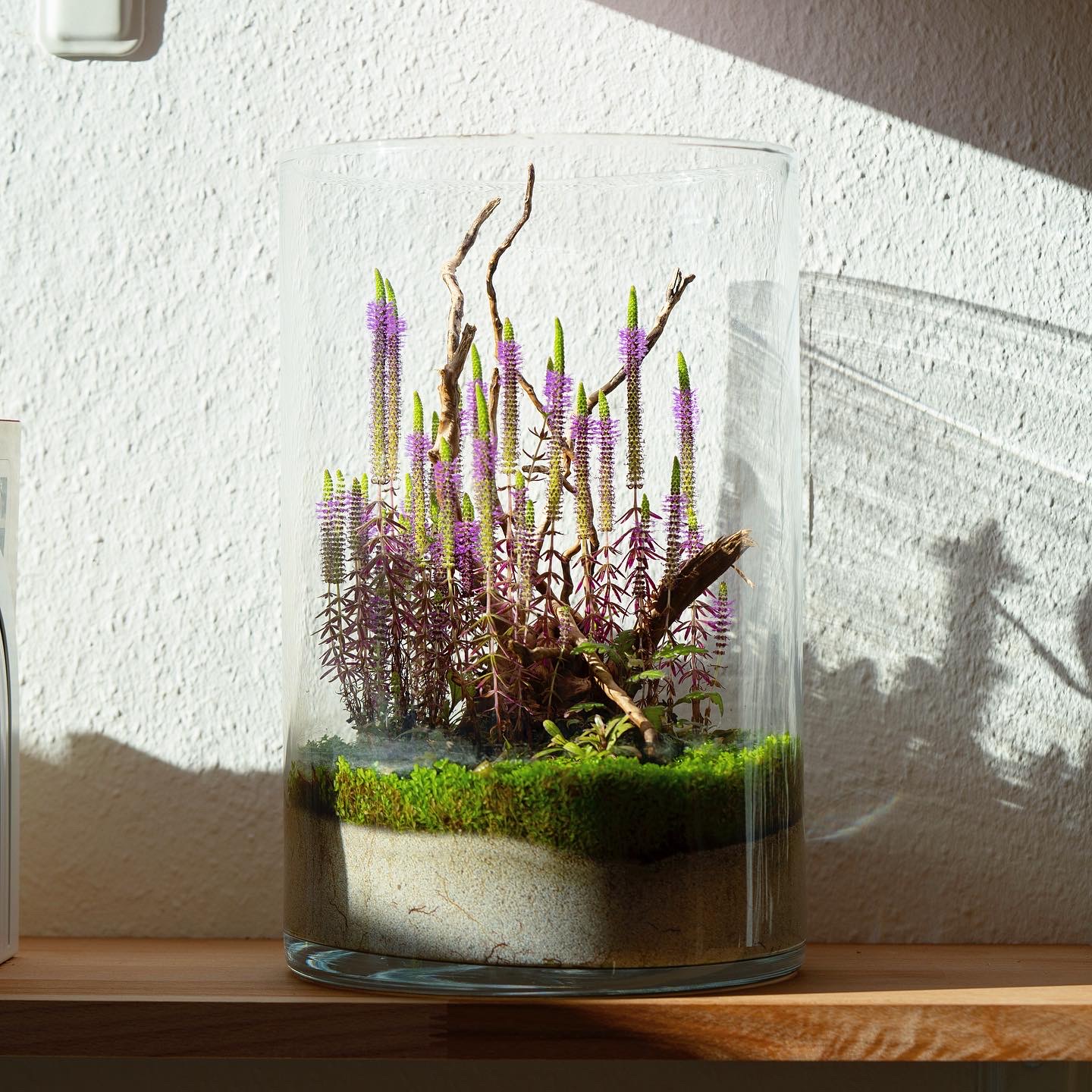Miniaturwald im Glas mit zarten Blütenakzenten