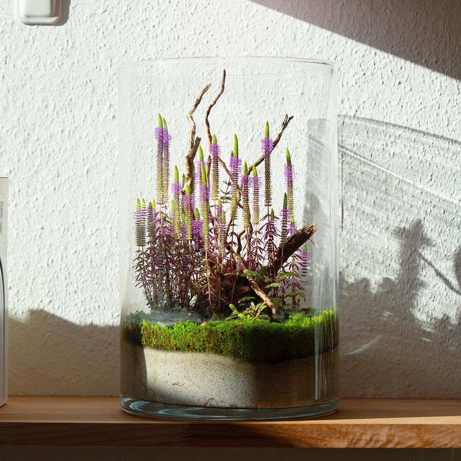Aquascape aus der Community
