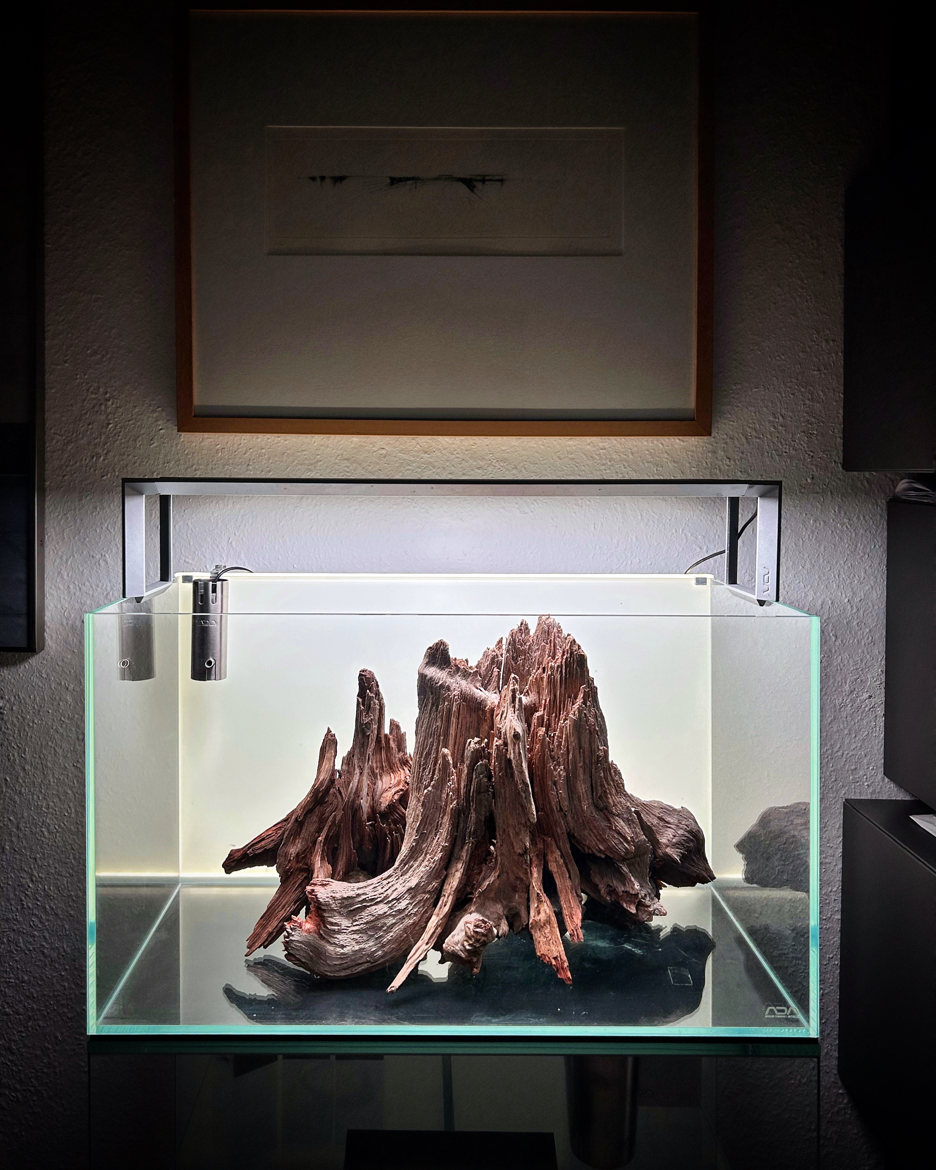 Dramatische Driftwood-Silhouette im Schwarzlicht