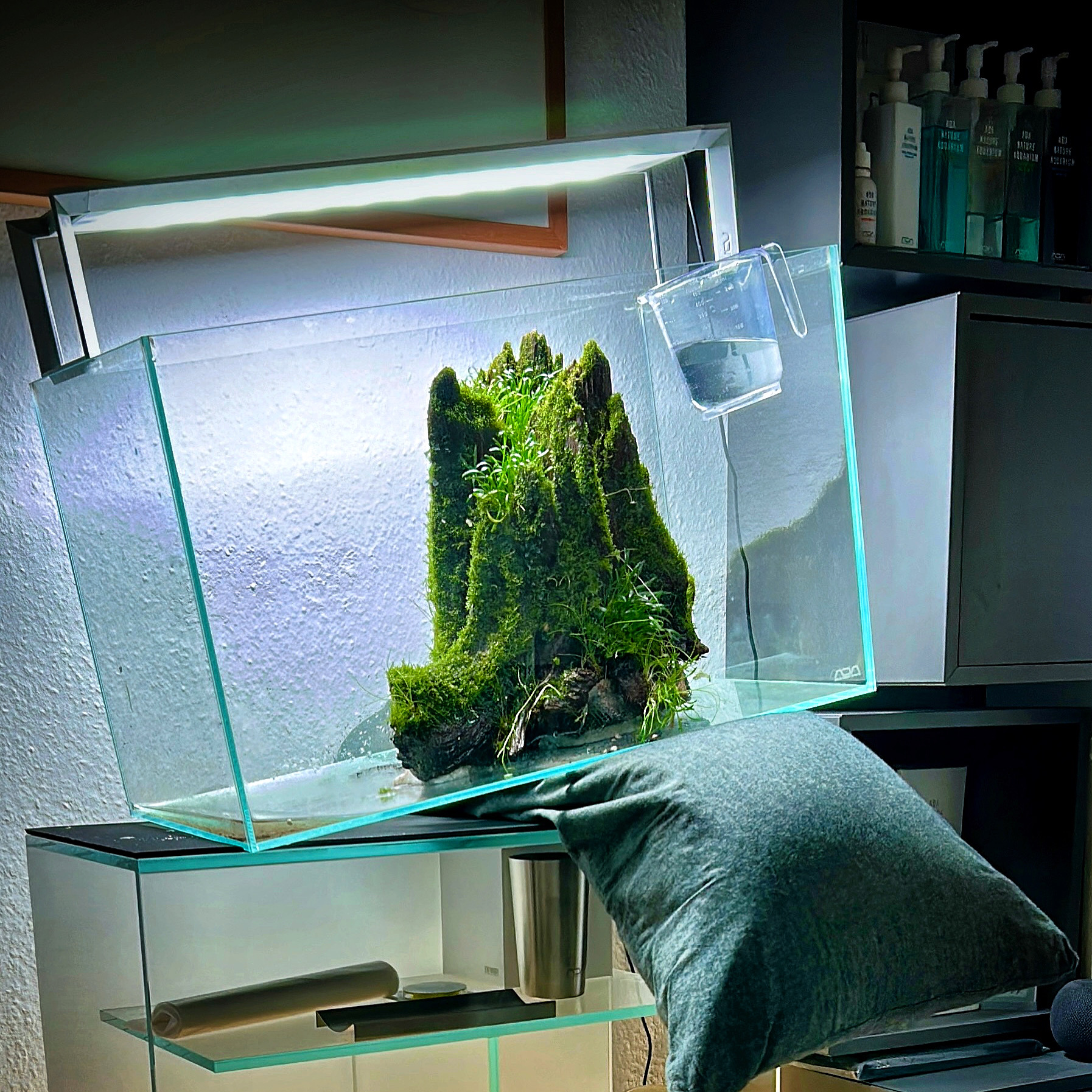 Moosige Miniaturlandschaft im Nano-Beck