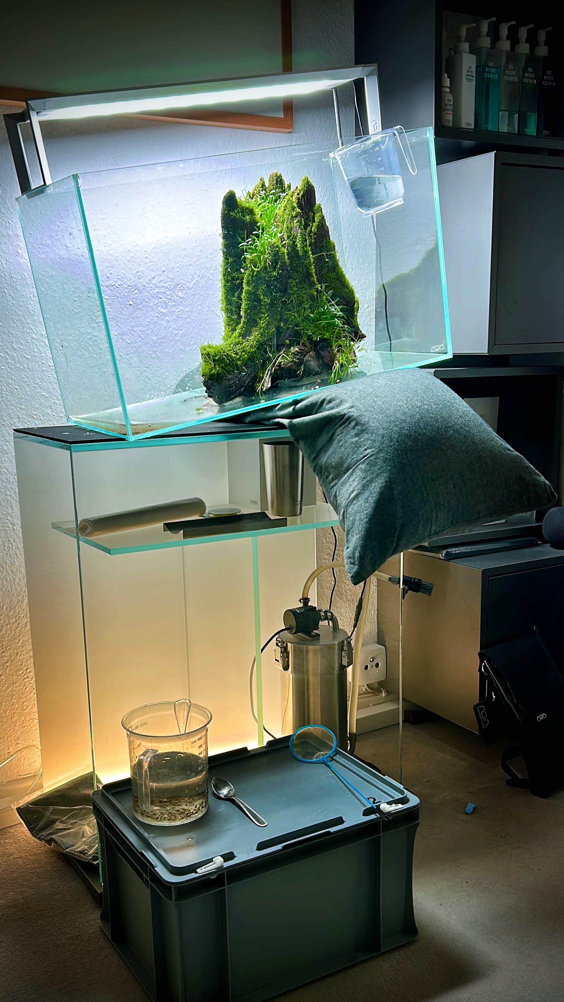 Moosbewachsener Fels im Miniatur-Paludarium