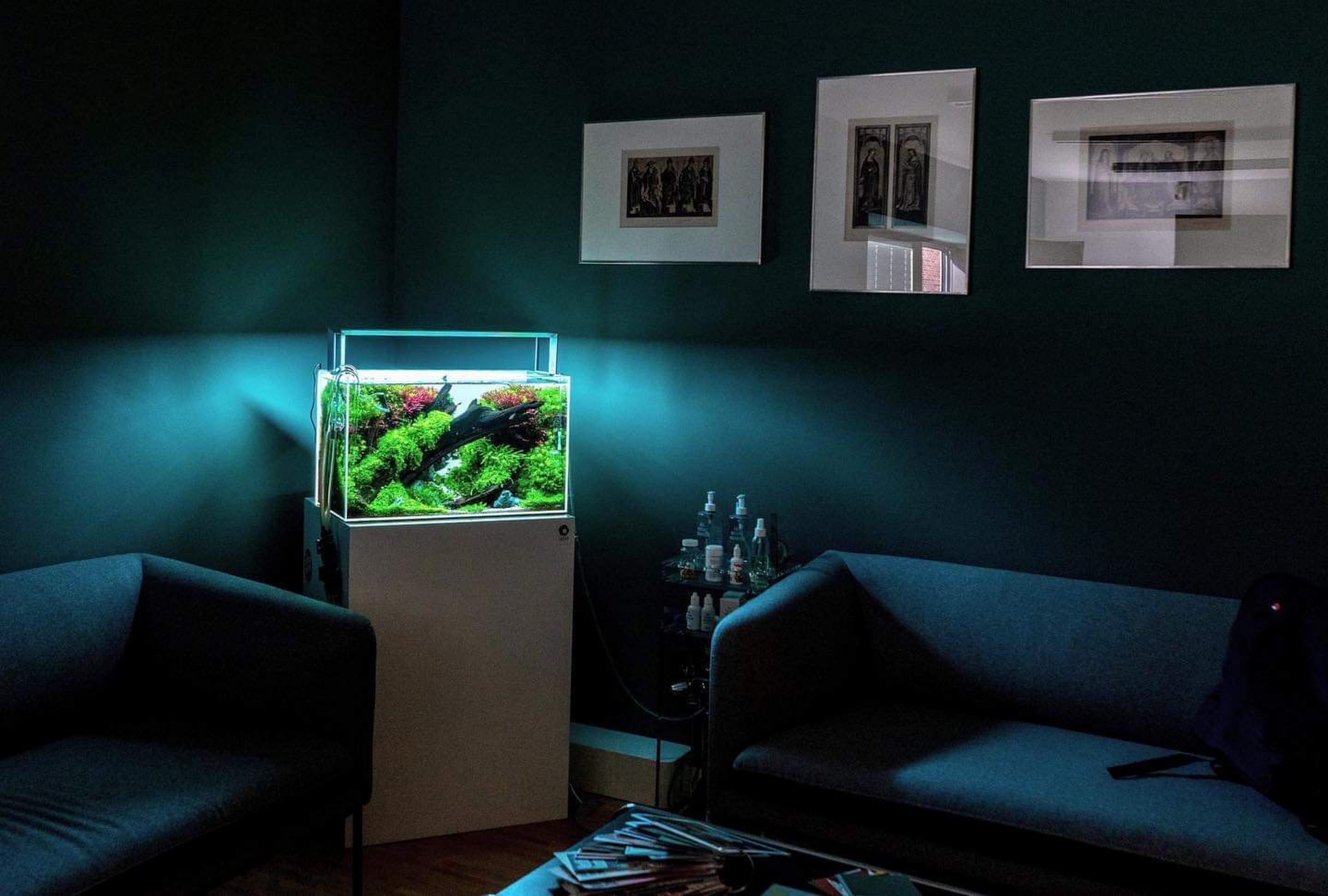 Dunkles Nano-Waldstück mit Moosakzenten