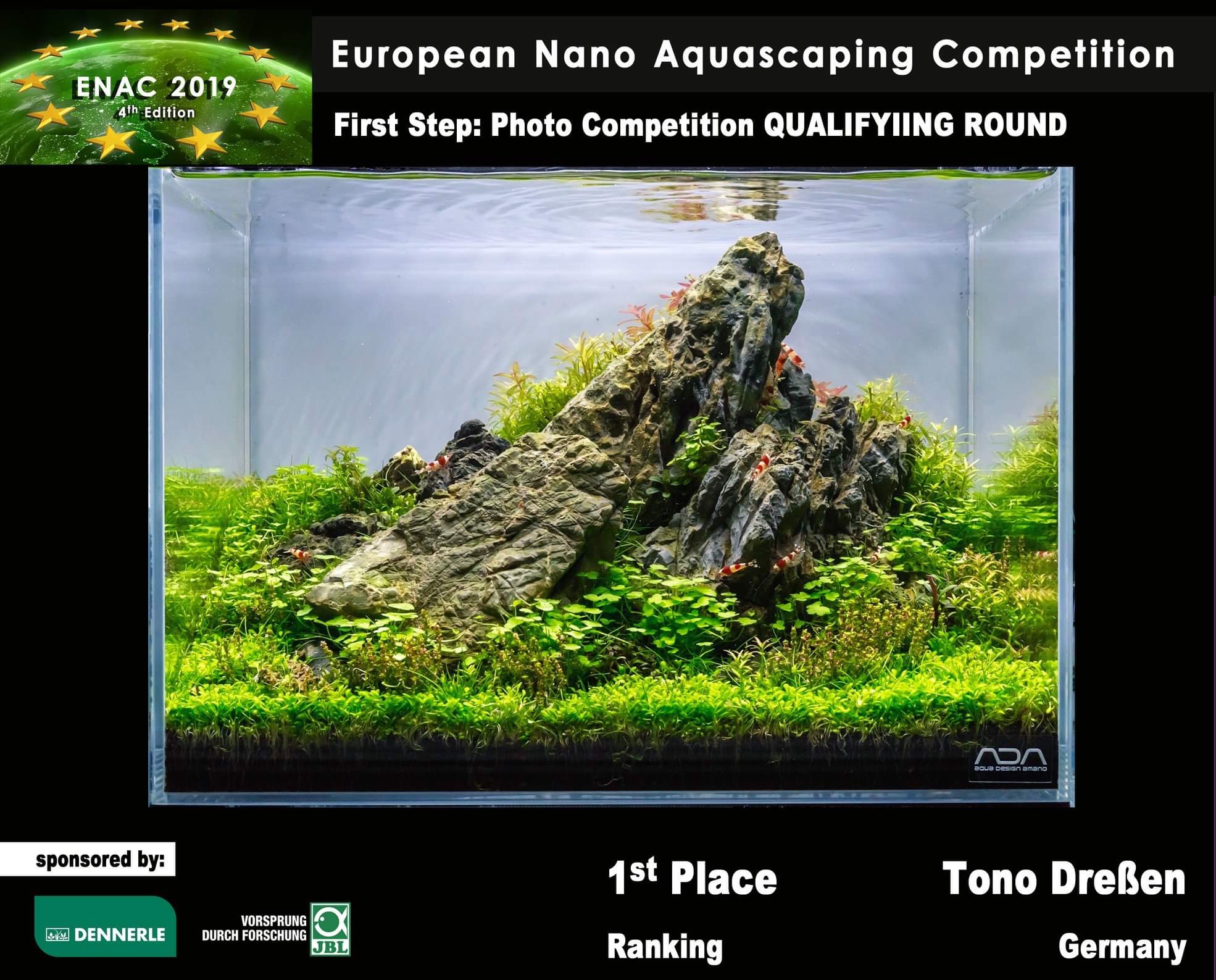 Dynamische Felslandschaft im Nano-Format