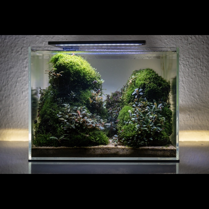 Moosige Berglandschaft im Miniaturformat