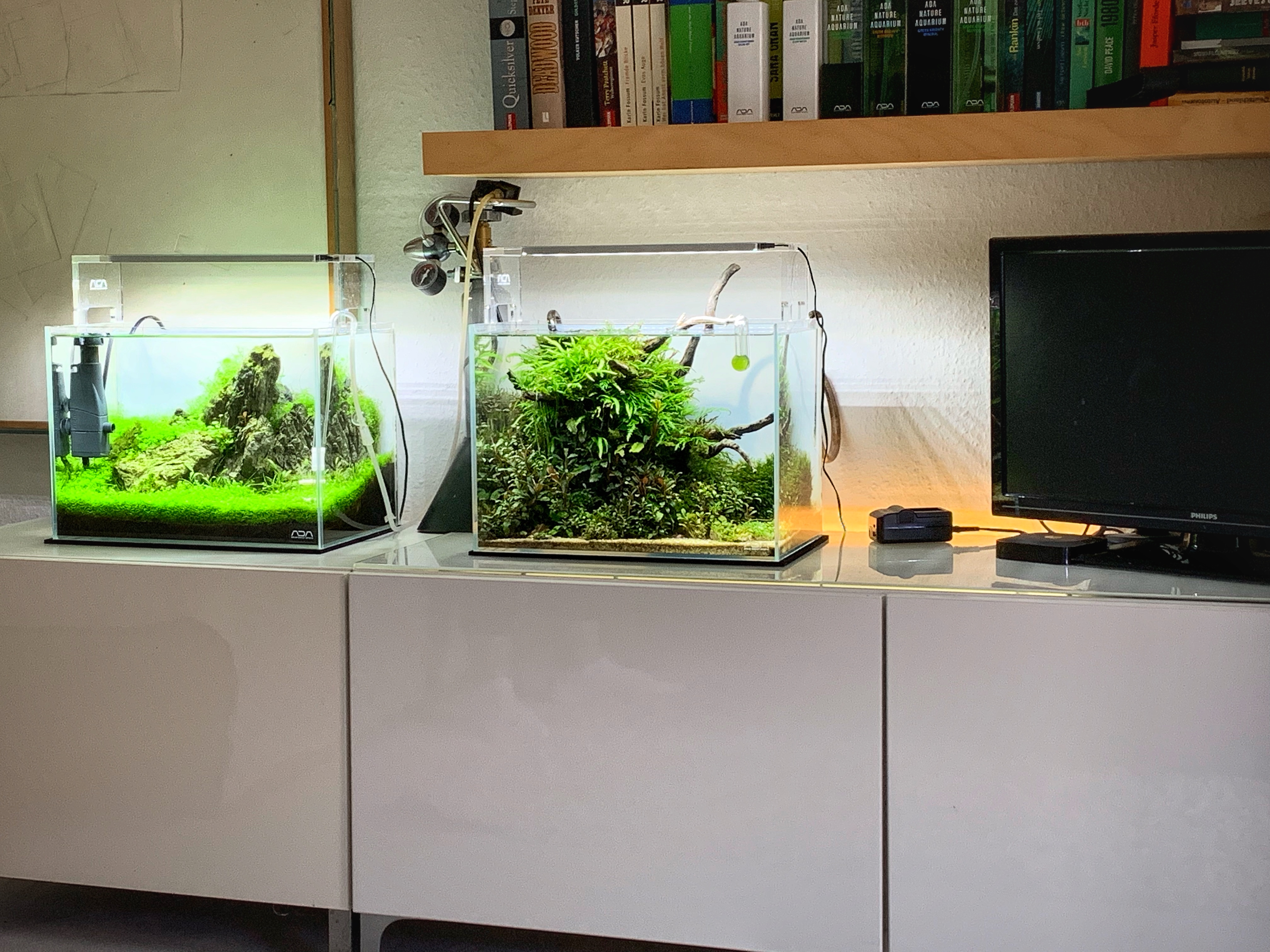 Dichte Waldlandschaft im Nano-Format