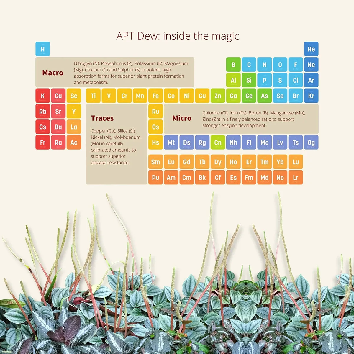 2HR Aquarist - APT D/Dew