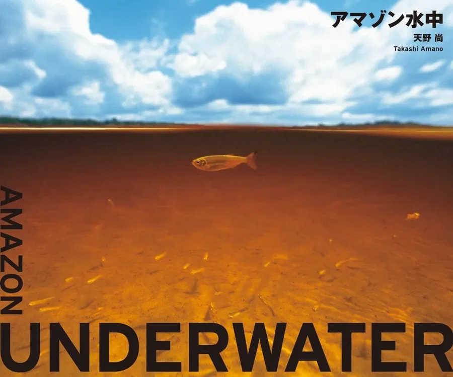 ADA Amazon Underwater