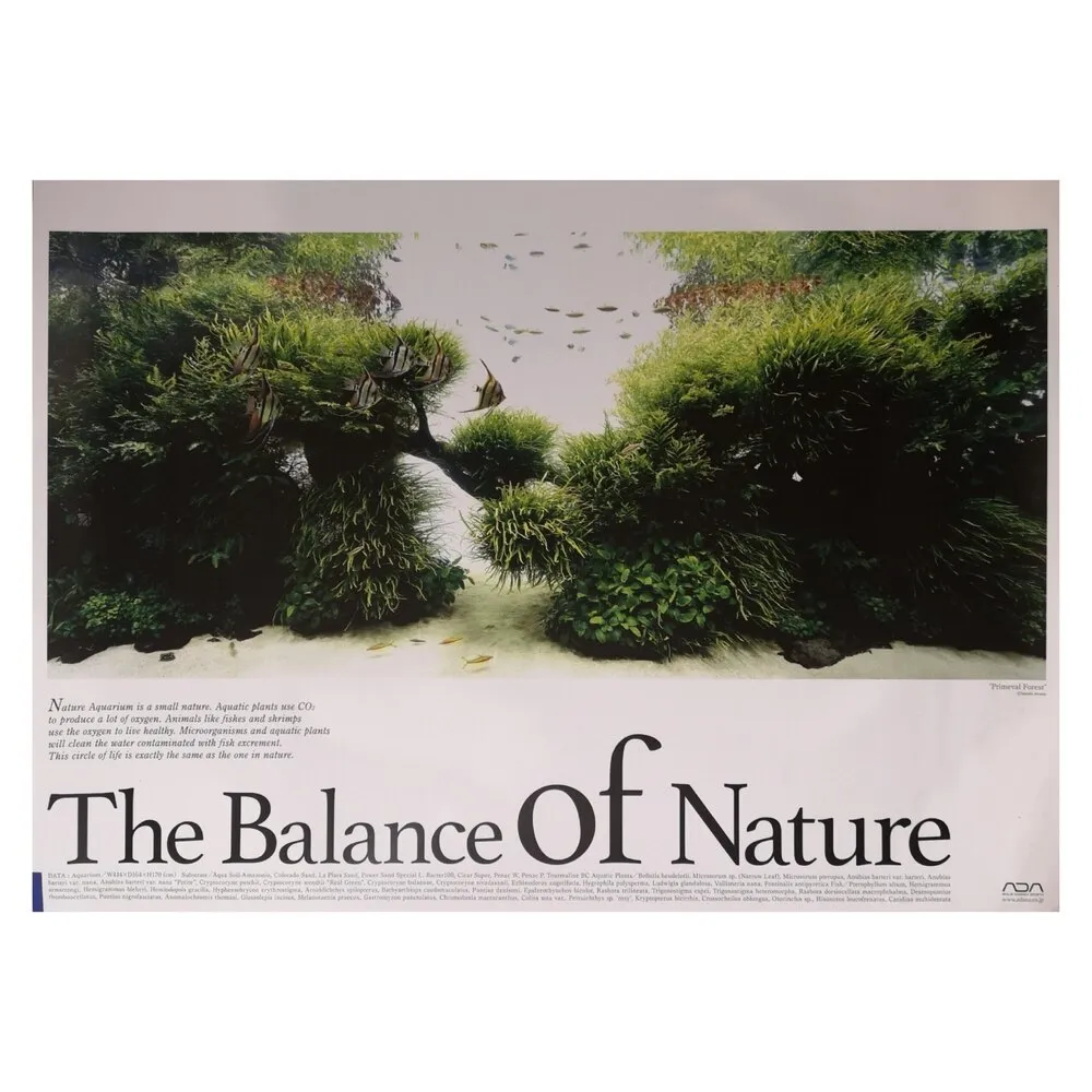 ADA Balance of Nature Poster