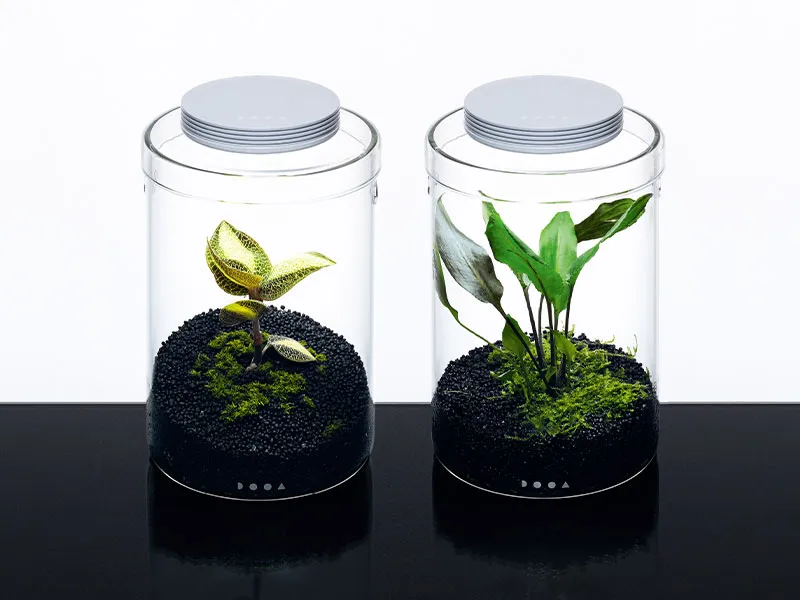 DOOA - Glass Pot Maru - 95