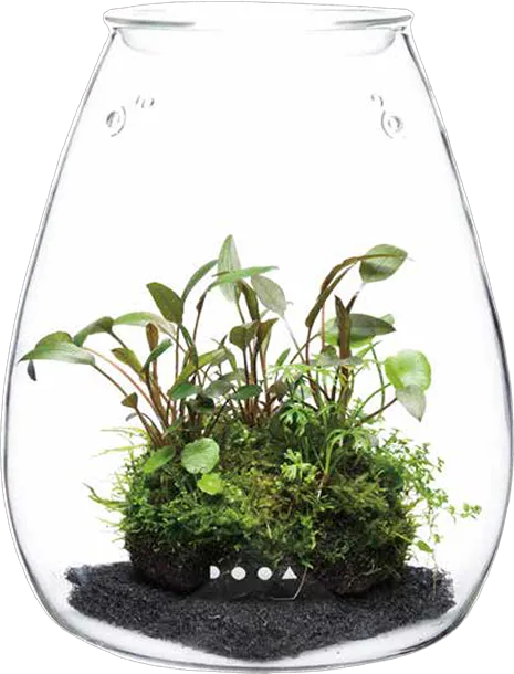 DOOA Glass Pot SHIZUKU