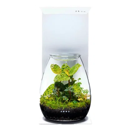 DOOA Magnet Light Stand