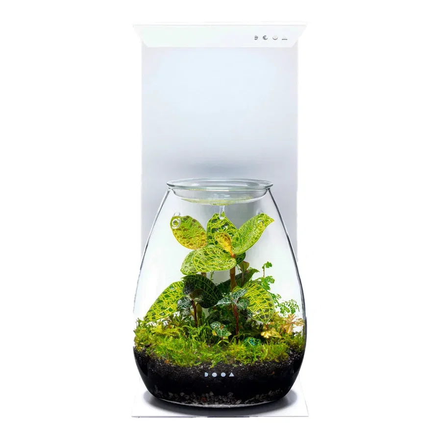 DOOA Magnet Light Stand