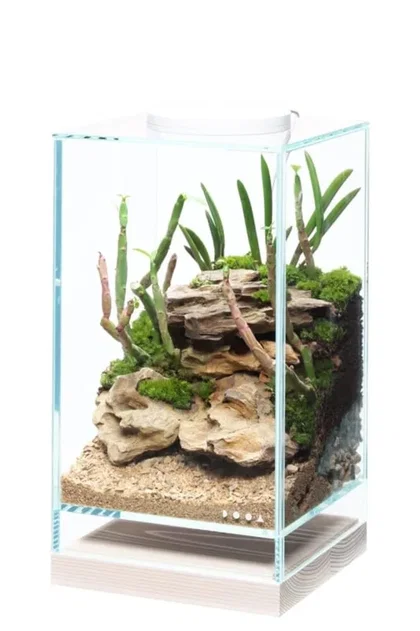 DOOA - Neo Glass - Wood Base