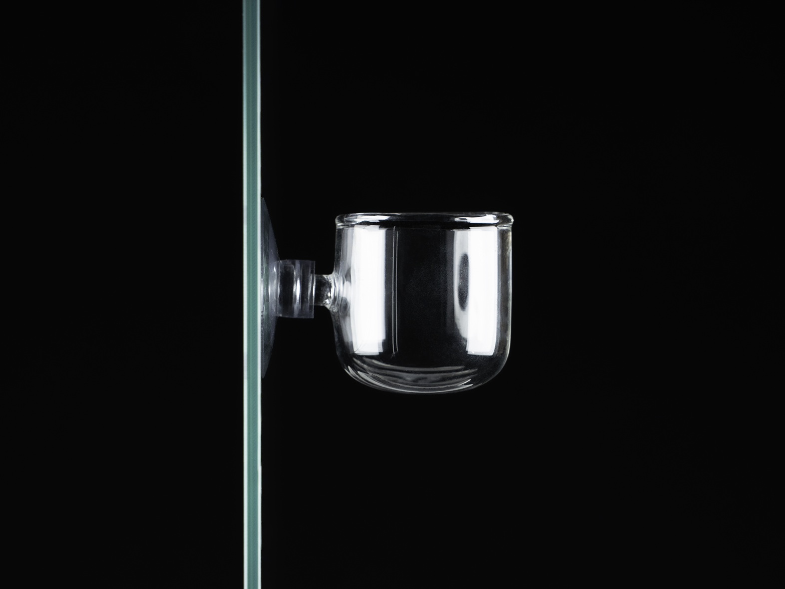 Plant Pot Glas