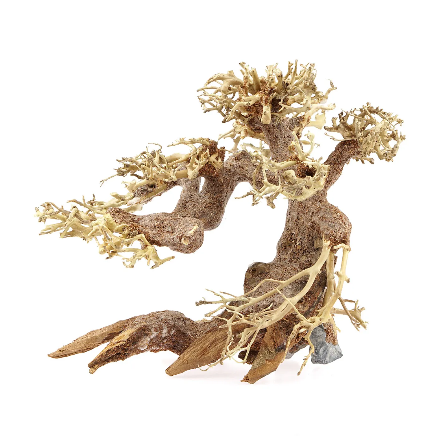 Aqua-Bonsai Baum