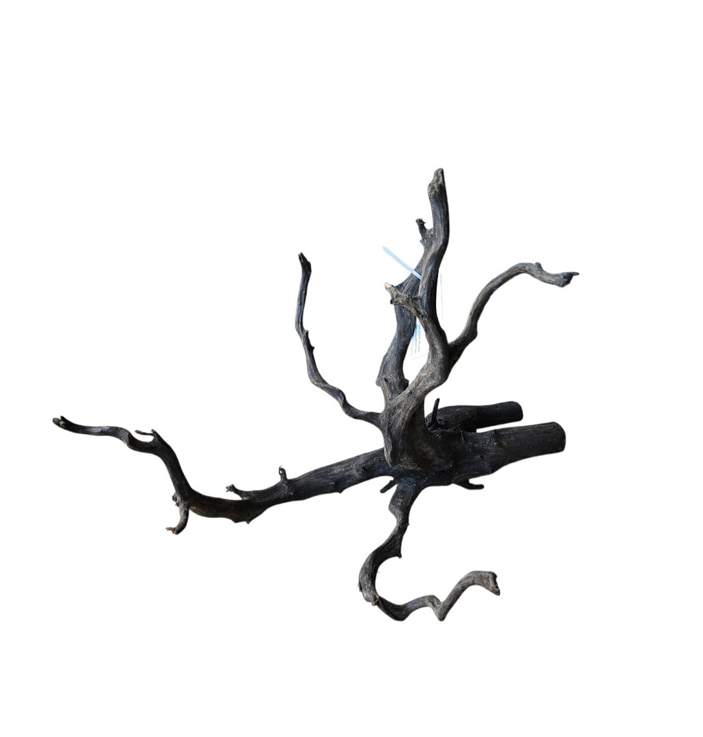 Black Root M Nr.680