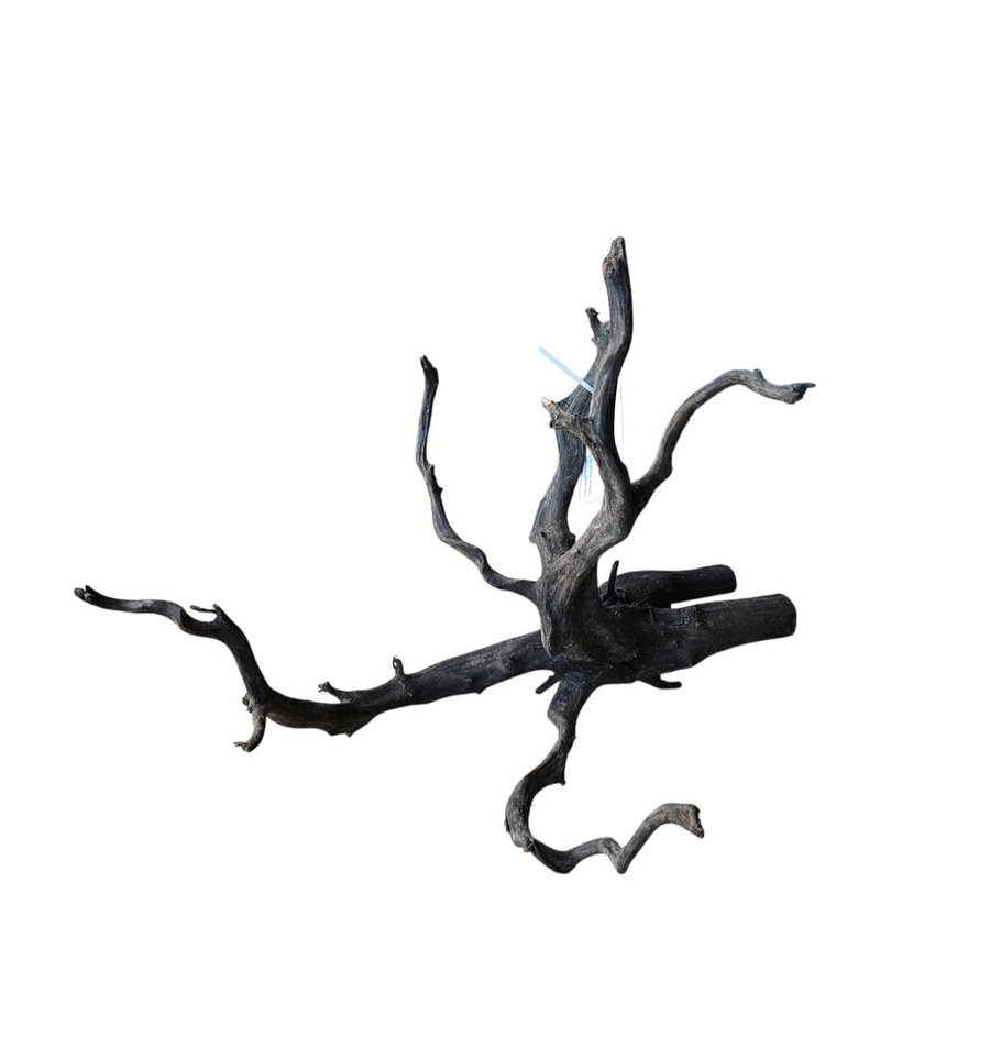 Black Root M Nr.680