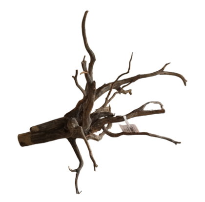 Black Root M Nr.277