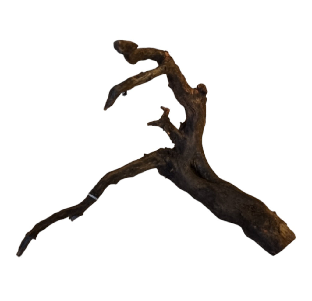 Black Root M Nr.425