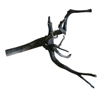Black Root S Nr.459