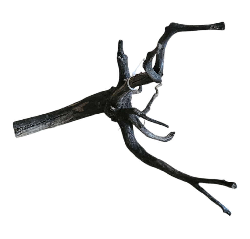 Black Root S Nr.459