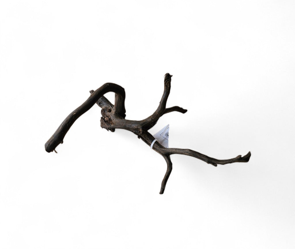 Black Root S Nr.461