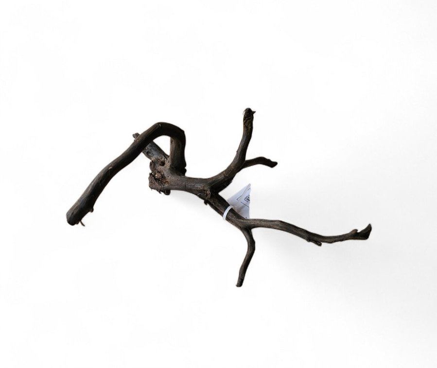 Black Root S Nr.461