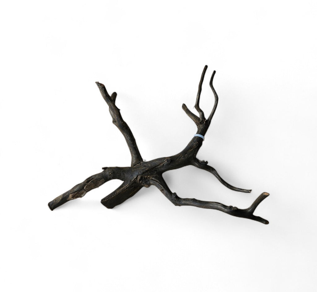 Black Root Nr.462