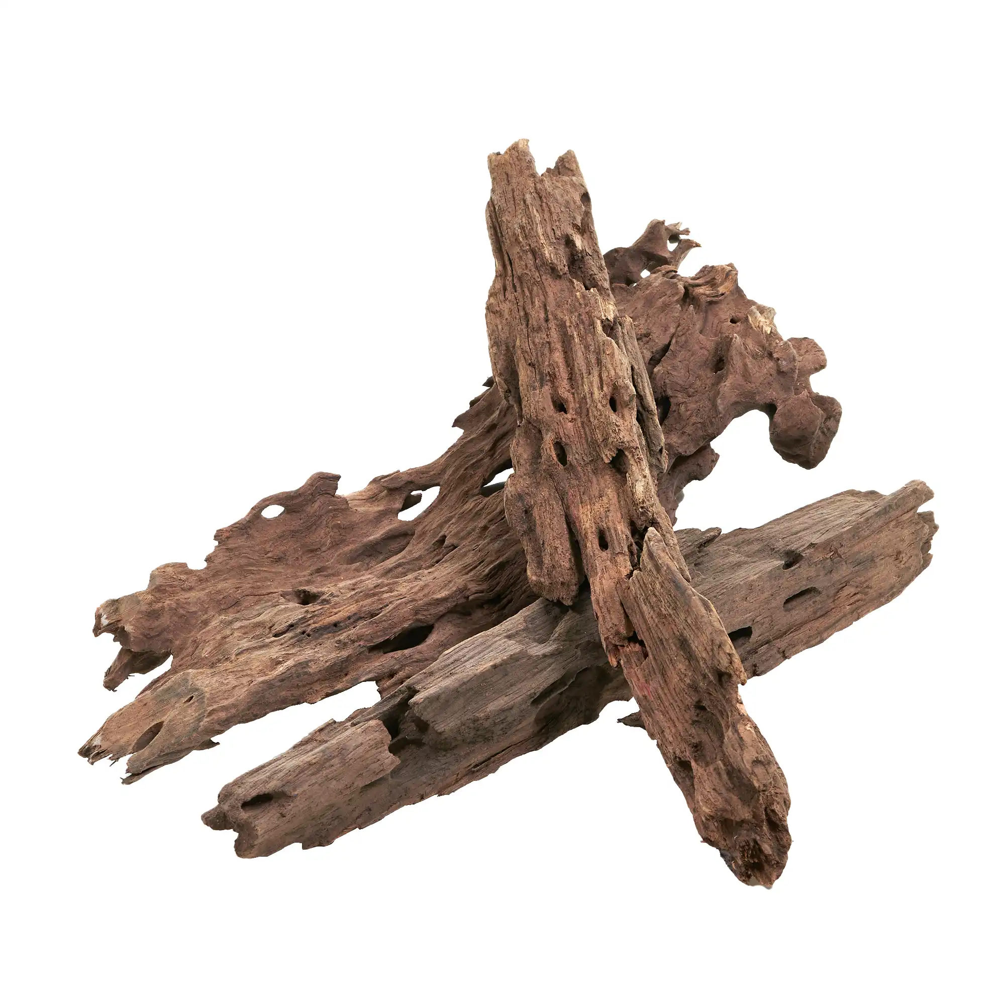Dragonwood | Drachenholz | Ohkowood Set