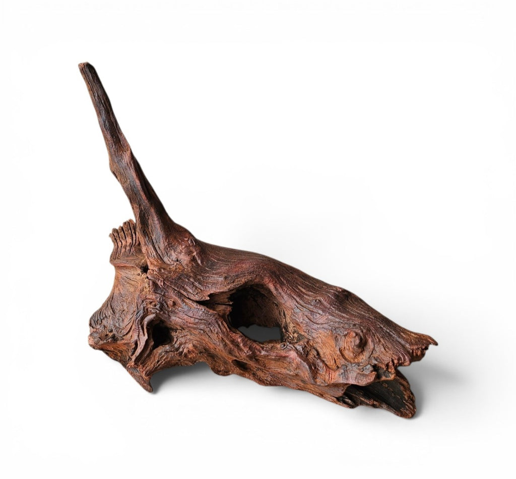 Driftwood / Flusswurzel Nr.11