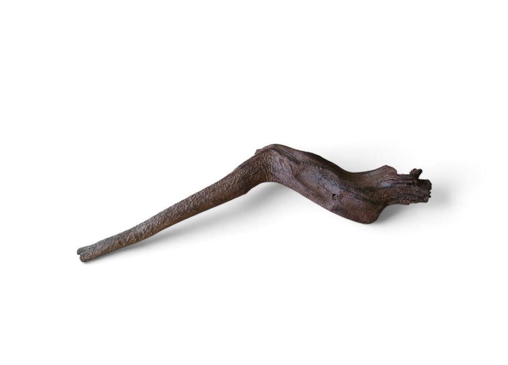 Driftwood / Flusswurzel Nr.217