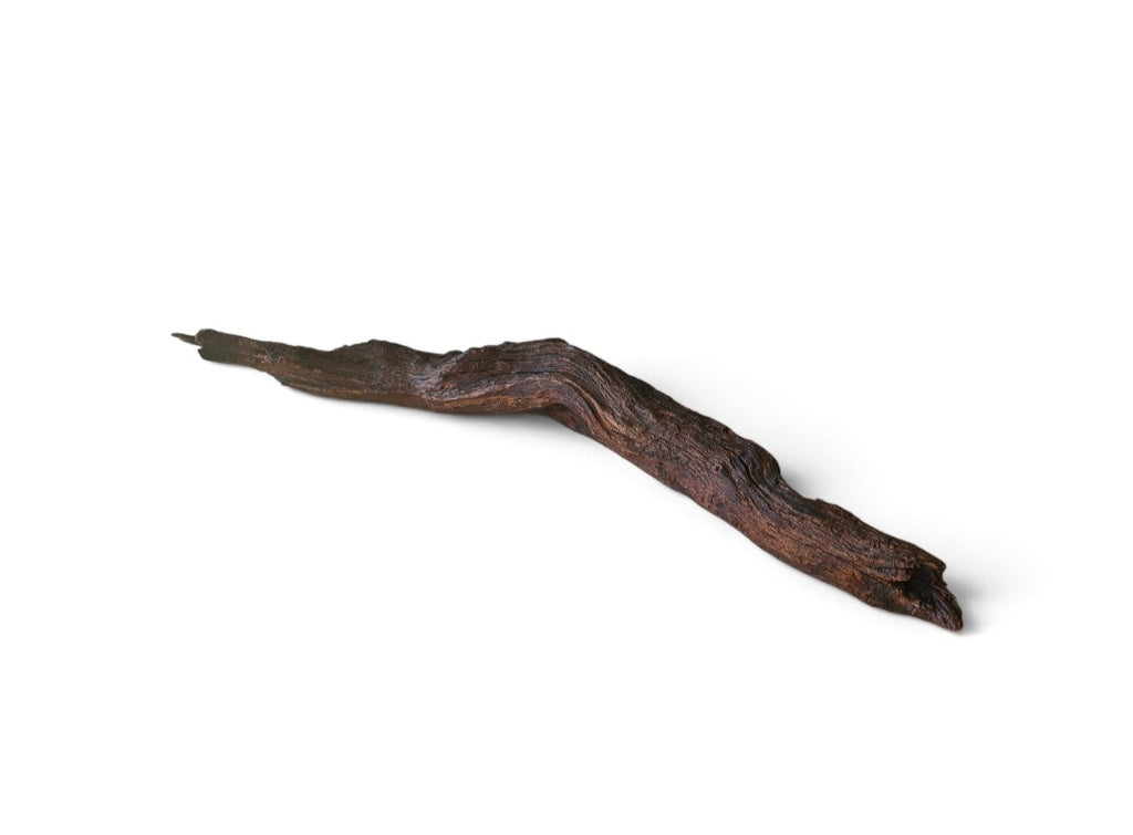 Driftwood / Flusswurzel Nr.219