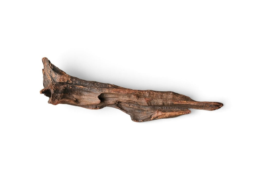 Driftwood / Flusswurzel Nr. 247