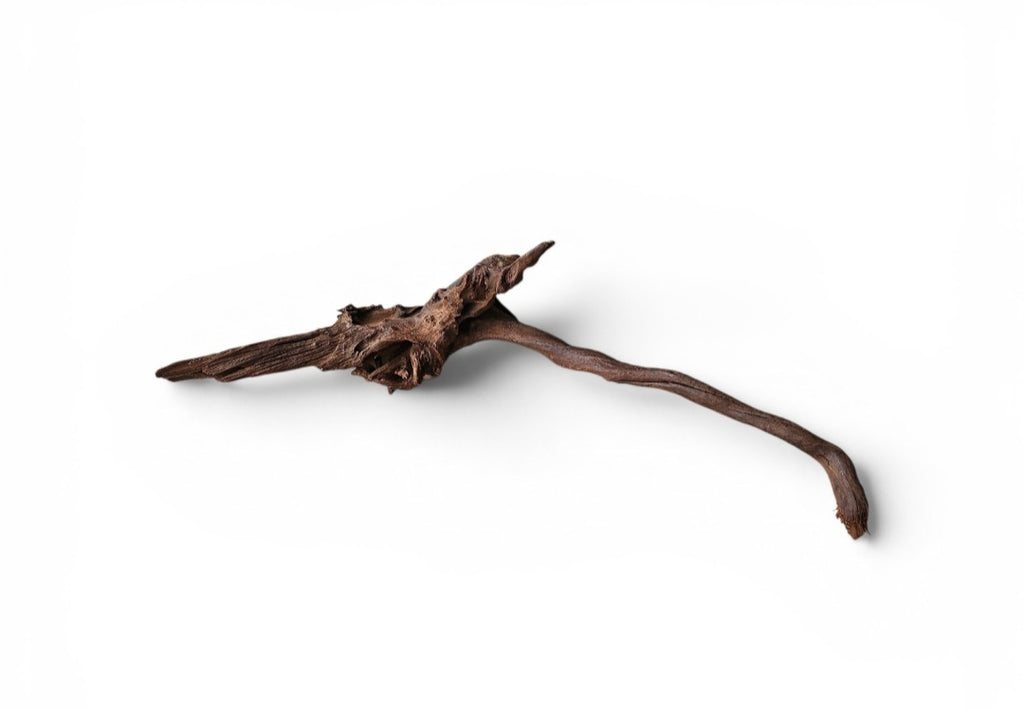 Driftwood / Flusswurzel Nr. 250