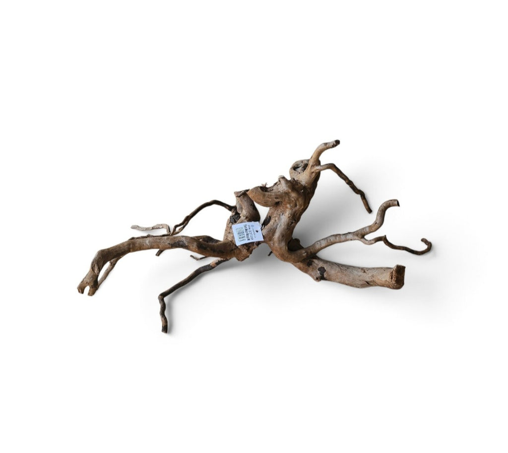 Dunkle Moorwurzel 30-40 cm Nr. 392