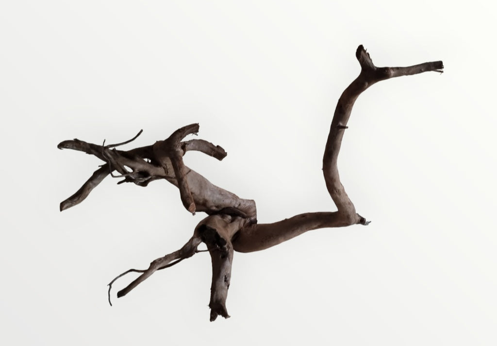 Dunkle Moorwurzel 60-70 cm Nr. 291