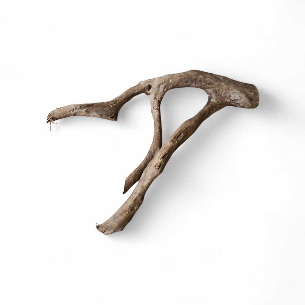 Dunkle Moorwurzel 40-55 cm Nr. 393