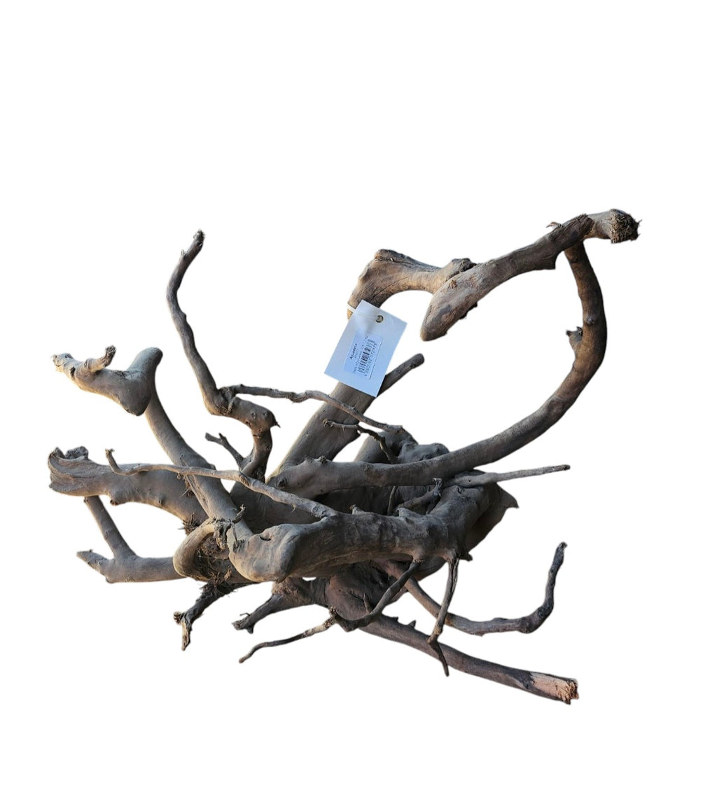 Dunkle Moorwurzel 40-55 cm Nr. 503
