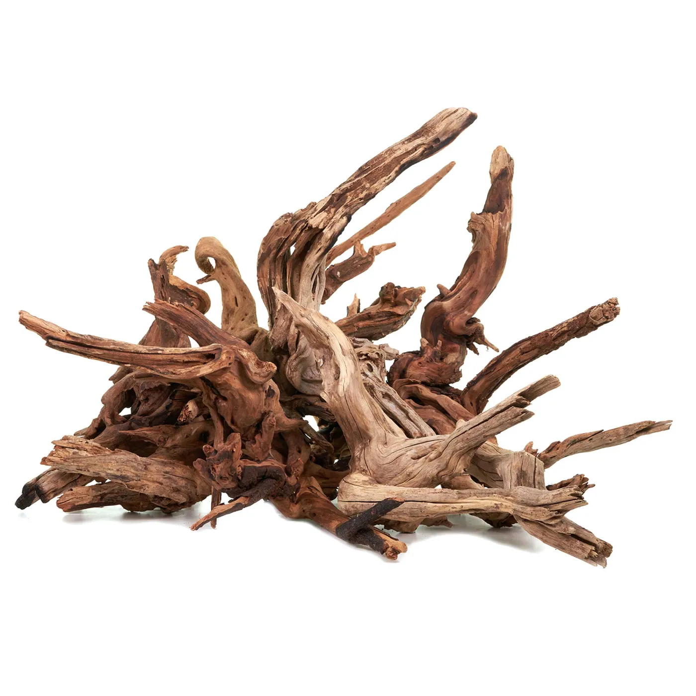 Flusswurzel | Driftwood | Set