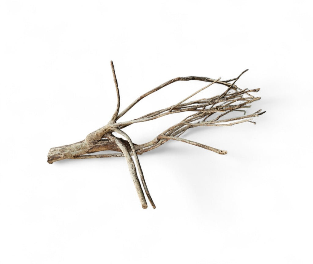 Talawa Holz / Wood 50-70 cm Nr. 157