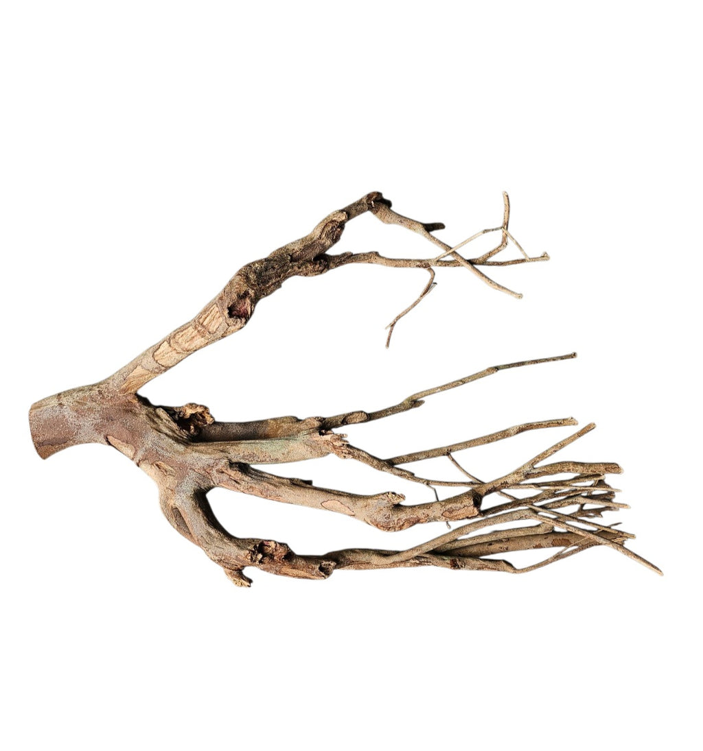 Talawa Holz / Wood 50-70 cm Nr. 249
