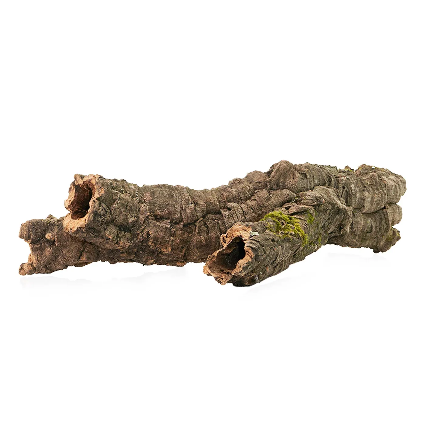 Korkröhren für Terrarium | Natürliche Verstecke und Klettermöglichkeiten