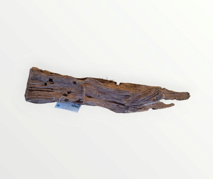 Mangrove Größe M / Nr.57