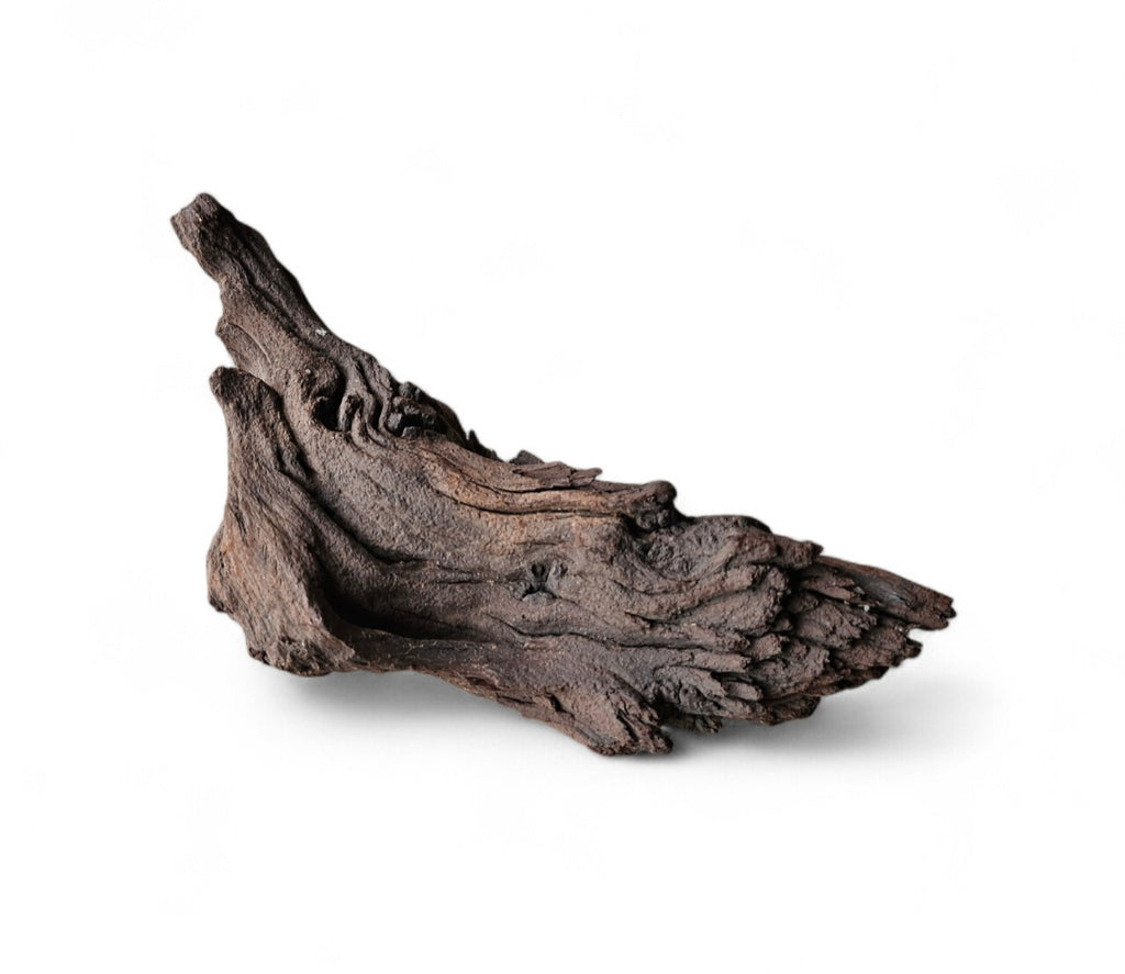 Mopani Wurzel Nr.37