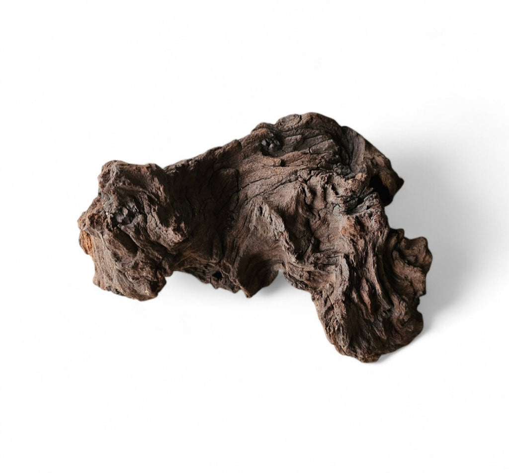 Mopani Wurzel Nr.39