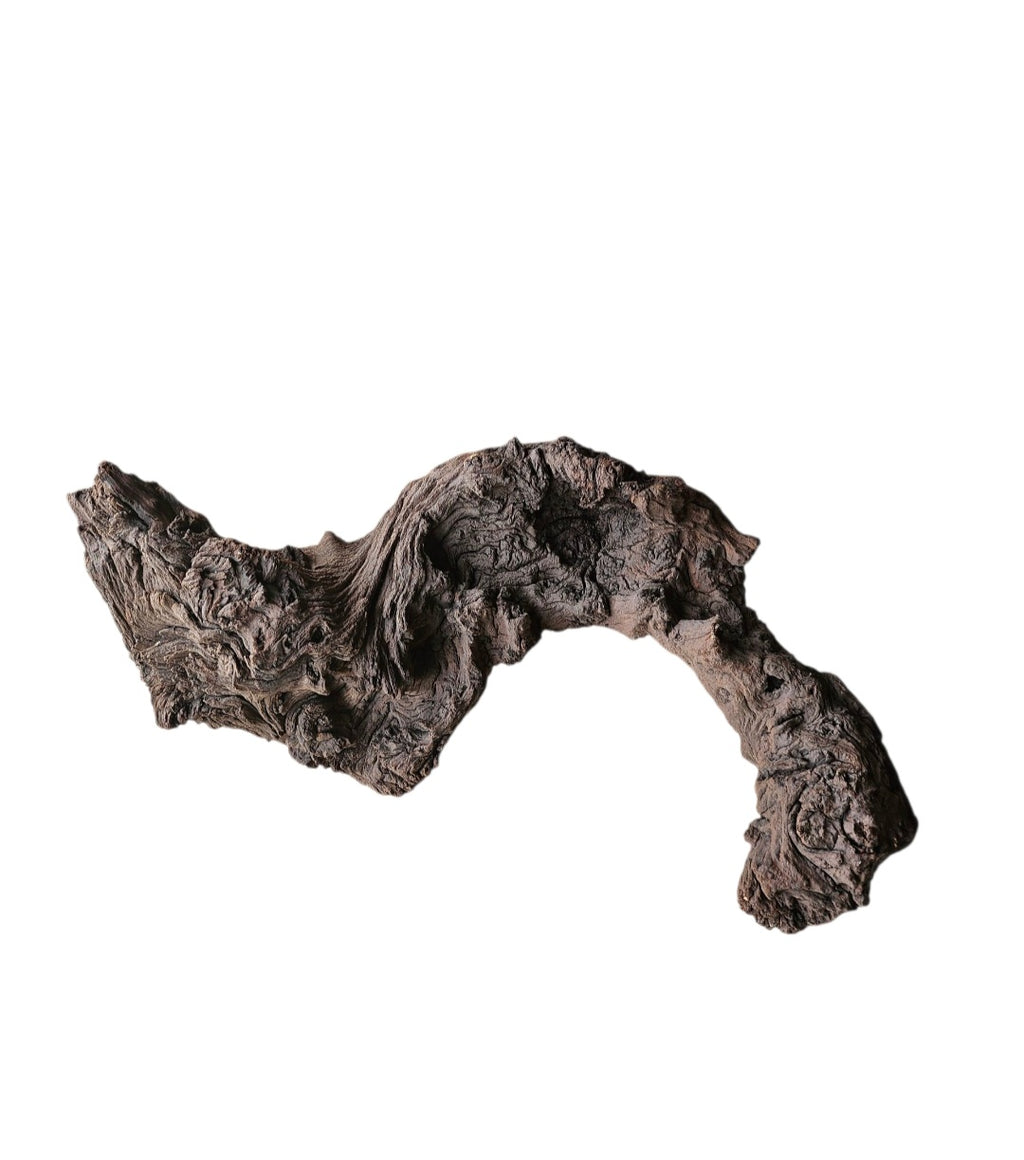 Mopani Wurzel Nr.790