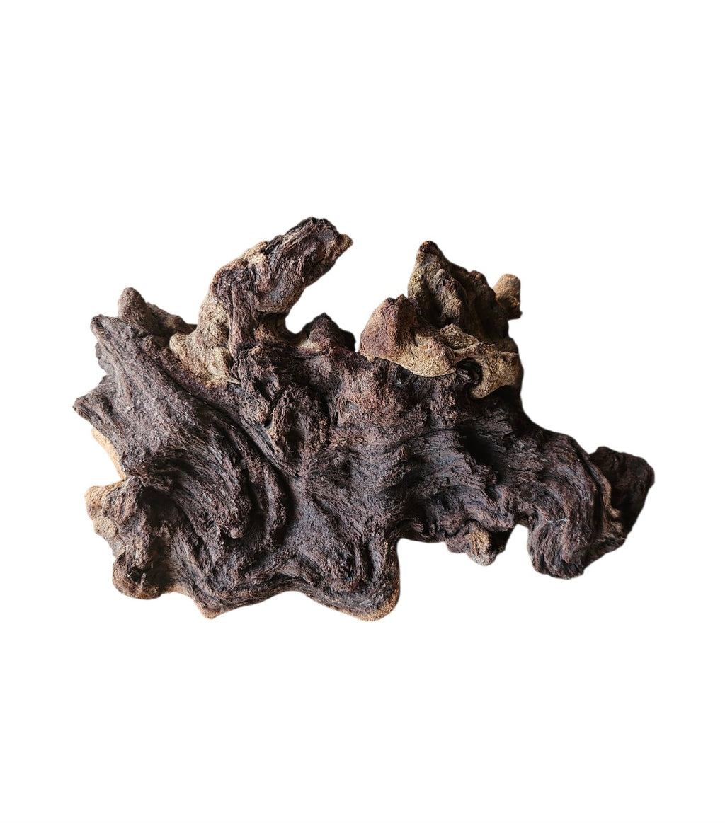 Mopani Wurzel Nr.823