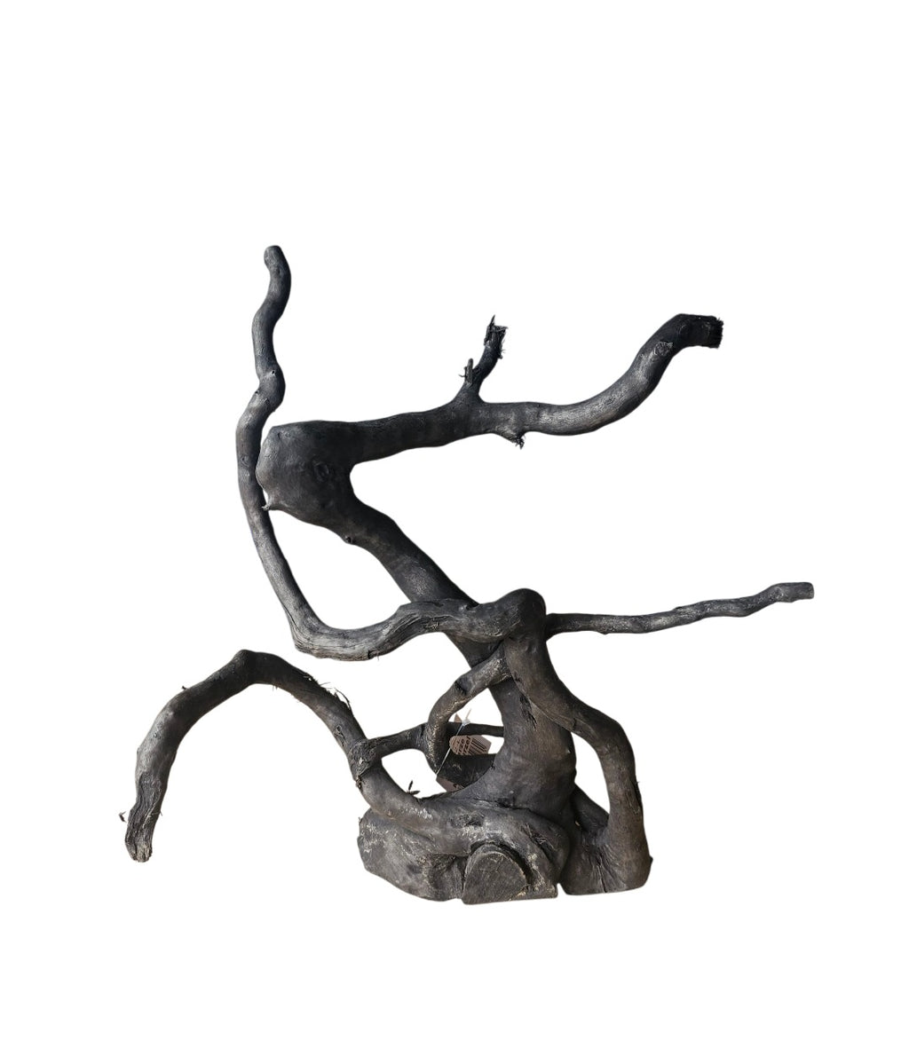 Schwarze Moorwurzel L (40-45 cm) Nr.103